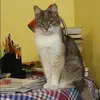 Отзыв от Клавдия Васильева